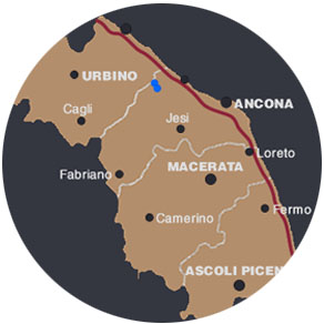 Guarda la mappa dove operiamo